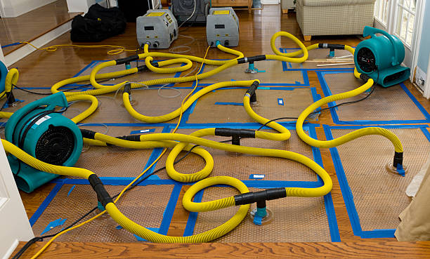 Professional Basement Flood Cleanup technician working in South Chatham, MA